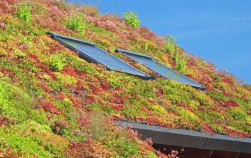 All Cannings living roof systems